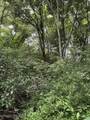 Tbd Raders Valley - Photo 2