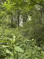 Tbd Raders Valley - Photo 3