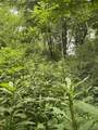 Tbd Raders Valley - Photo 4