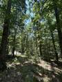 12260 Potomac Highlands Trl - Photo 97