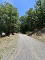12260 Potomac Highlands Trl - Photo 99