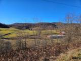 400 Old Huttonsville Turnpike - Photo 10