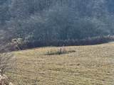 400 Old Huttonsville Turnpike - Photo 9