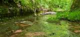  Ellison Ridge - Photo 1