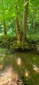  Ellison Ridge - Photo 10