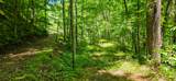  Ellison Ridge - Photo 14