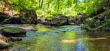  Ellison Ridge - Photo 2