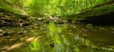  Ellison Ridge - Photo 3