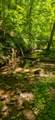  Ellison Ridge - Photo 4
