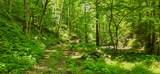  Ellison Ridge - Photo 7