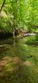  Ellison Ridge - Photo 8