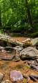  Ellison Ridge - Photo 9