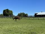 3476 Fairview Rd - Photo 14