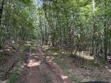  Stonehouse Woods - Photo 10