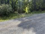  Stonehouse Woods - Photo 3