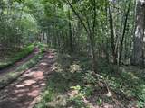  Stonehouse Woods - Photo 6