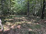  Stonehouse Woods - Photo 7