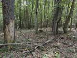  Stonehouse Woods - Photo 9