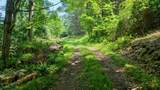 1227 Keister Rd - Photo 8