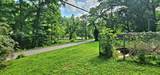 1537 Willowwood Road - Photo 38