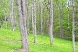 4250 Julia Rd - Photo 19