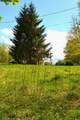 4250 Julia Rd - Photo 22