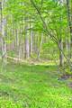 4250 Julia Rd - Photo 29