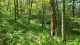 9 Ac Bear View Trl - Photo 3