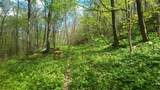 9 Ac Bear View Trl - Photo 4