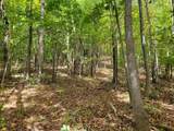 1507 Bear Springs Rd - Photo 30