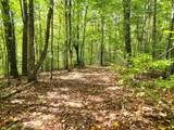 1507 Bear Springs Rd - Photo 32