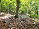 1507 Bear Springs Rd - Photo 34