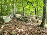 1507 Bear Springs Rd - Photo 35