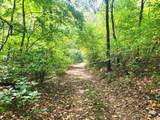 1507 Bear Springs Rd - Photo 37