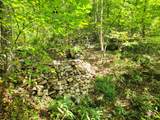 1507 Bear Springs Rd - Photo 38