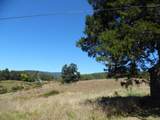 125 The Pines Drive - Photo 9