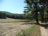 125 The Pines Drive - Photo 1