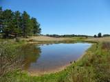 125 The Pines Drive - Photo 18