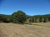 125 The Pines Drive - Photo 6