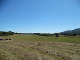 7 The Pines Drive - Photo 14
