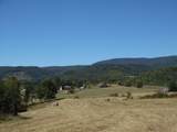 7 The Pines Drive - Photo 4