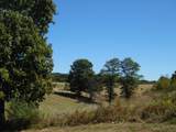 125l The Pines Drive - Photo 14