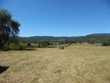 125l The Pines Drive - Photo 17