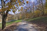 1674 Snake Run Rd - Photo 49