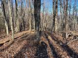  Lot 20 Bear Trak - Photo 1