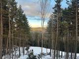 439 Forever Wild Way - Photo 28