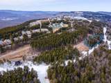 18 Forever Wild - Photo 3