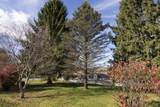 113 Raven View Ln - Photo 43