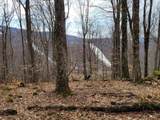 Lot 71 North Woods Circle - Photo 15