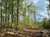  Irish Mt. Road - Photo 17